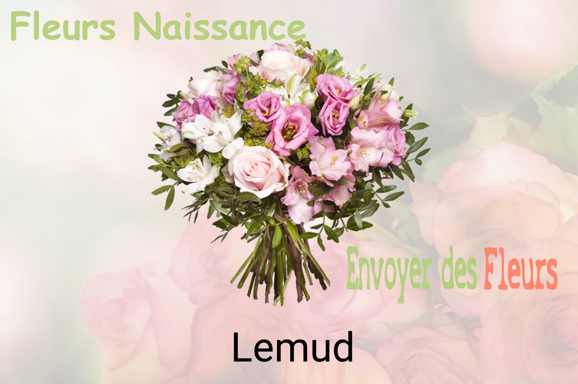 Bouquet de fleurs de naissance livré à Lemud